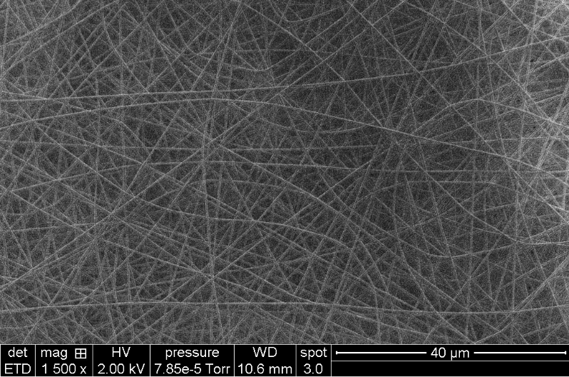 Filaments de polymre obtenus par les tudiants, par lectrofilage au laboratoire LMI